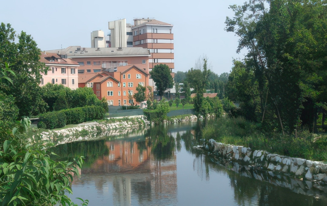 Quando la pizza diventa cura: la collaborazione con Fondazione Castellini
